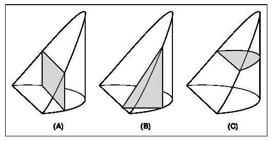 Figure 2: Cross-sections of an ungula perpendicular to (A) the x axis, (B) y axis and (C) z axis.