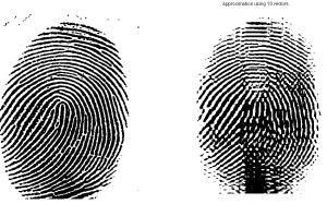 Original fingerprint image (left panels) and compression to rank 10.