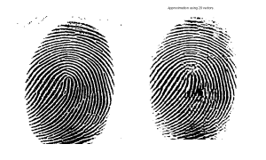 Original fingerprint image (left panels) and compression to rank 20 (from website of John Burjardt, FSU).