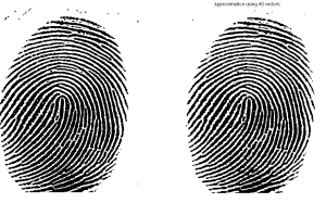 Original fingerprint image (left panel) and compression to rank 40 (from website of John Burkardt, FSU).