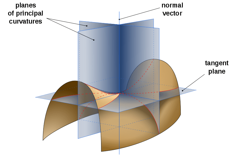 Saddle surface with tangent plane and normal planes in directions of principal curvatures [Wikimedia Commons].