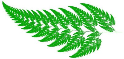 Barnsley Fern after one million iterations.