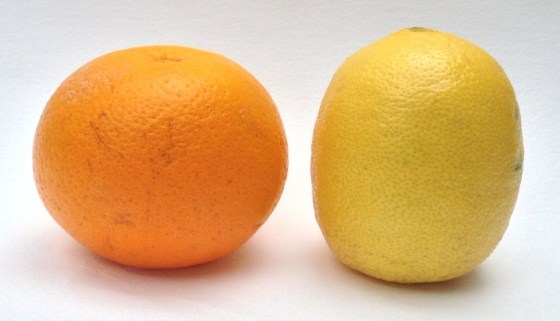 Is the Earth oblate like an orange (Newton) or prolate like a lemon (the Cassinis)?