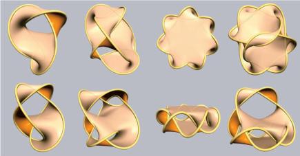From left to right: Figure-of-8 knot 4_1, knot 6_3 , knot 7_1, and knot 8_5 [Fig from Van Wijk (2006)].