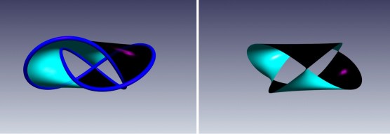 Another view of the trefoil knot and its Seifert surface, drawn with SeifertView. Right: the Seifert surface with its boundary knot removed. It is like two disks joined by three bands, each with a half-twist.