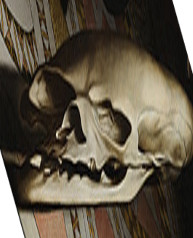 Ambassadors-Detail03-clip