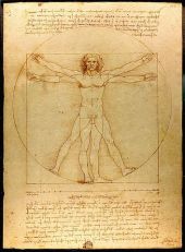 vitruvian-man-lores