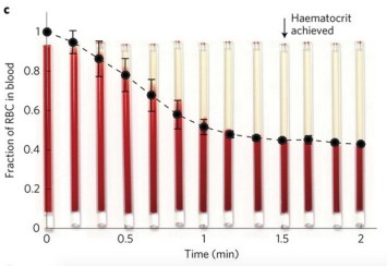 whirligig-bloodplasma