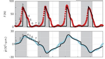 whirligig-theoryexpt