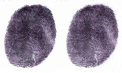 Wavelet-Fingerprint-Compression