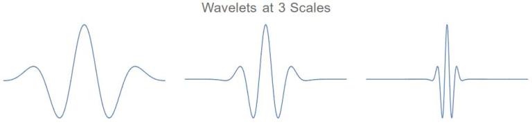Wavelets: Mathematical Microscopes – ThatsMaths