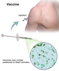 Vaccine-1