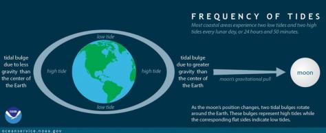 Tides-NOAA
