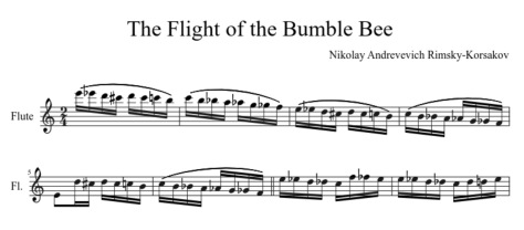Flight-of-BumbleBee-Music