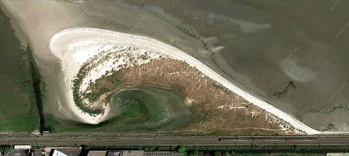 Terra-Nova-Bootertown-C