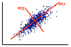 Correlated-Variables