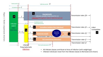 SEIR-Structure